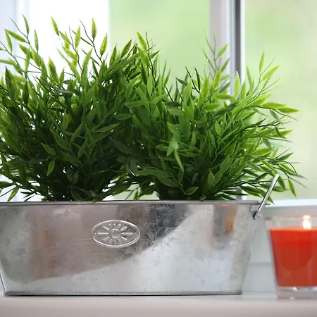 Apartment Ante Portas *